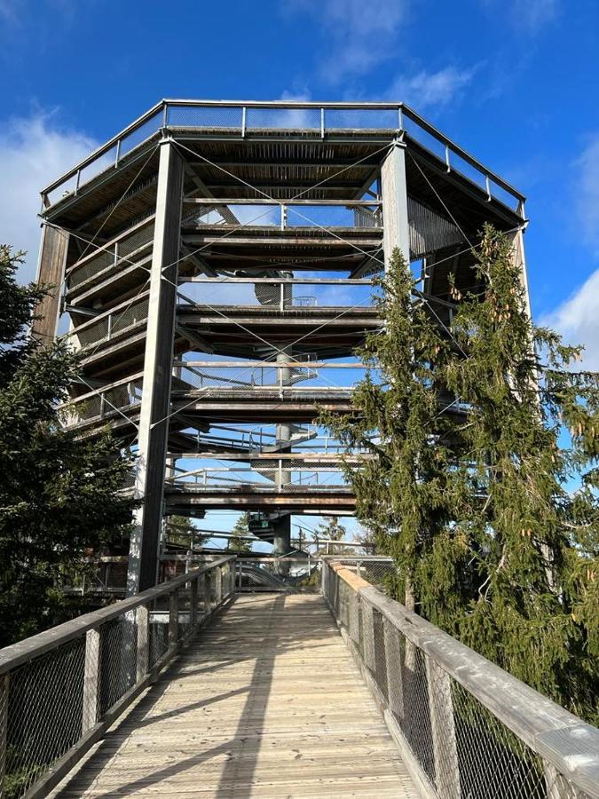 Apartament A121 Molo Lipno S Infrasaunou - Residence Koubek Lipno nad Vltavou Luaran gambar